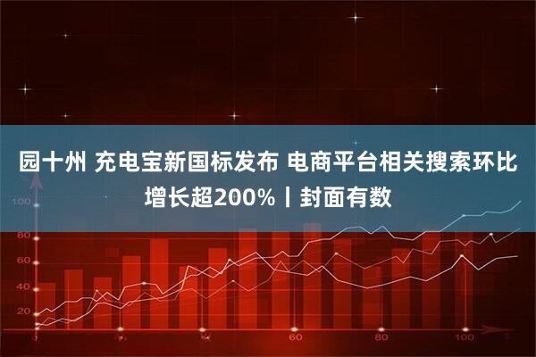 园十州 充电宝新国标发布 电商平台相关搜索环比增长超200%丨封面有数
