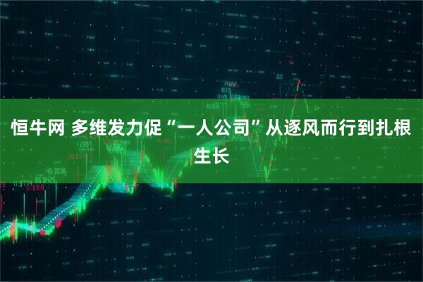 恒牛网 多维发力促“一人公司”从逐风而行到扎根生长